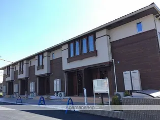 ティー サンティールの画像