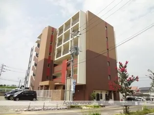 スペランツァの画像