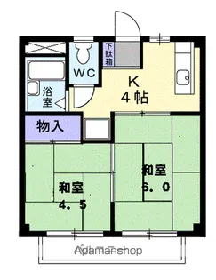 シティーハイツ88【1階】の間取り