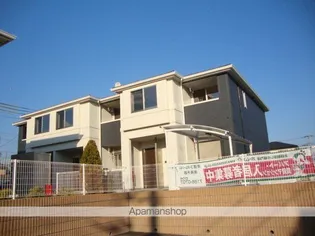 FELICIA AMELLOIDESの画像