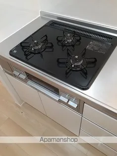 パールリバー アイランド2号館【1階】のその他画像