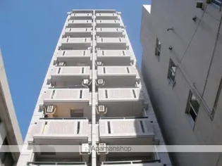 パインストン今泉の画像