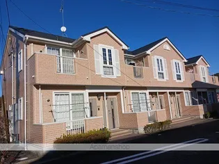 プラシドCの画像