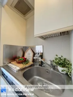 ナイスアーバンスピリッツ鶴見市場Ⅱ芦澤ビル【303号室】のキッチン