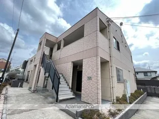 ロイヤル パピヨンの画像