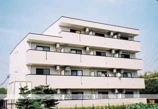 セレッソ ベージョの画像