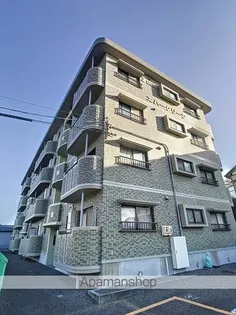 エバーグリーンの画像