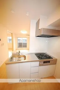 シャトレーポワリエ Ⅳ A【2階】のキッチン