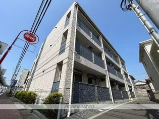 ウィズダムの画像