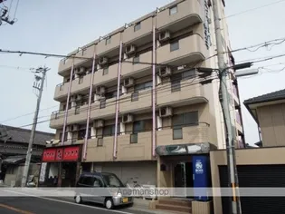 エクセレントサカキの画像