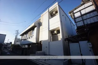 ダフォディルの画像