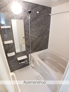 ヴィアアルスⅡ【1階】の風呂