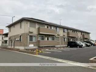 メタセコイアの画像