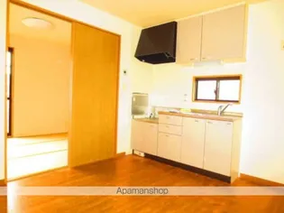 クリサンセマム B棟【1階】のキッチン