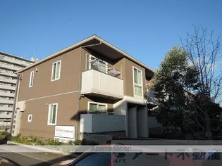 フィーネの画像