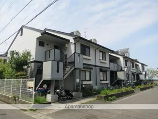 テンサンズの画像