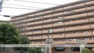 ライオンズガーデン横浜蒔田【11階】の外観