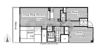 レジディア泉【14階】の間取り