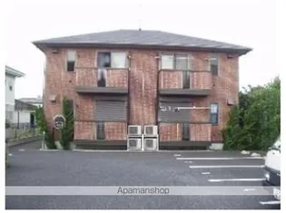 ワカシバウィルモアの画像