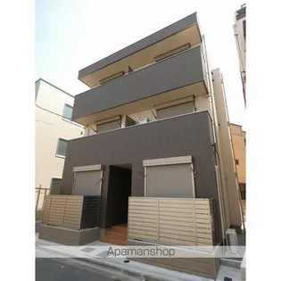 コーラルの画像