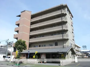 ベターデイズの画像