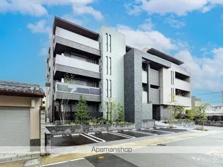 SHAMAISON AMBERの画像