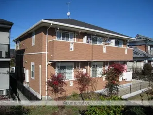 プリムローズTKの画像