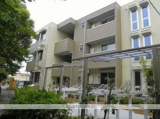 シーガルの画像