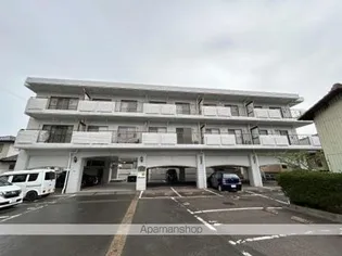 サンホワイト笹口の画像