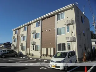 シェーネの画像