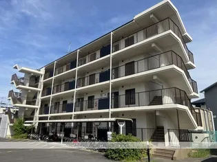 滋賀県近江八幡市白鳥町【マンション】の外観