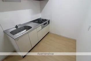 パストラル№Ⅳ【303号室】のキッチン