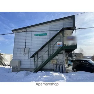 ステップカーサIIの画像