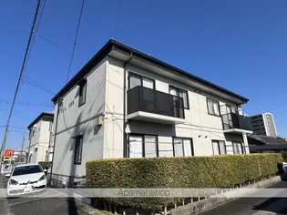 ピュアMの画像