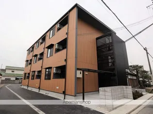 シーシェルの画像