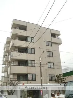 ホワイトテムの画像