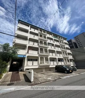 大阪府大阪市住吉区南住吉2丁目【マンション】の外観