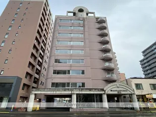 ビッグバーンズマンションN11の画像