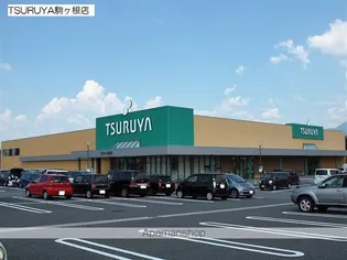 リアンノール【203号室】の周辺