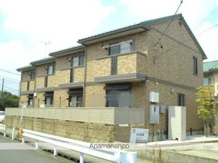 セタンドール Bの画像