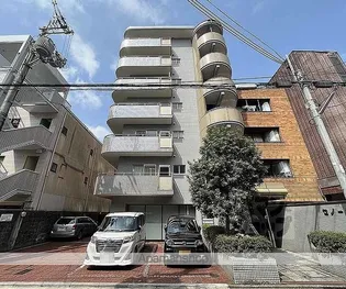 セノータの画像
