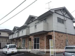 オレンジメグの画像