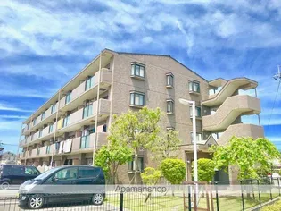 ユーフォリアの画像