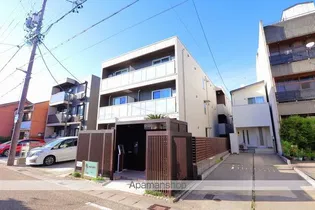 マハロの画像