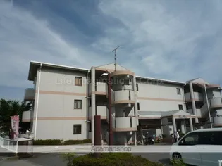 スリーハイムの画像