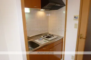 リバーレイクヒルズ【1階】のキッチン