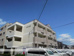 セフティ上坂の画像