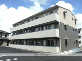 コンフォートMの画像