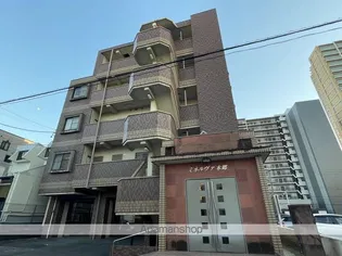 ミネルヴァ本郷の画像