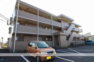 ピュアル1の画像